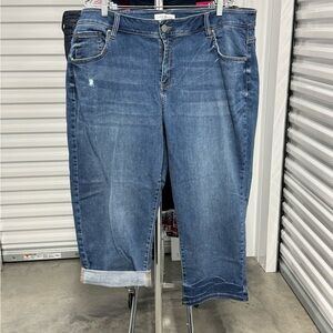 Lane Bryant | Jeans in Medium Wash | size 24